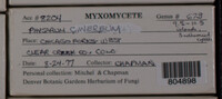 Image Associated With the Occurence